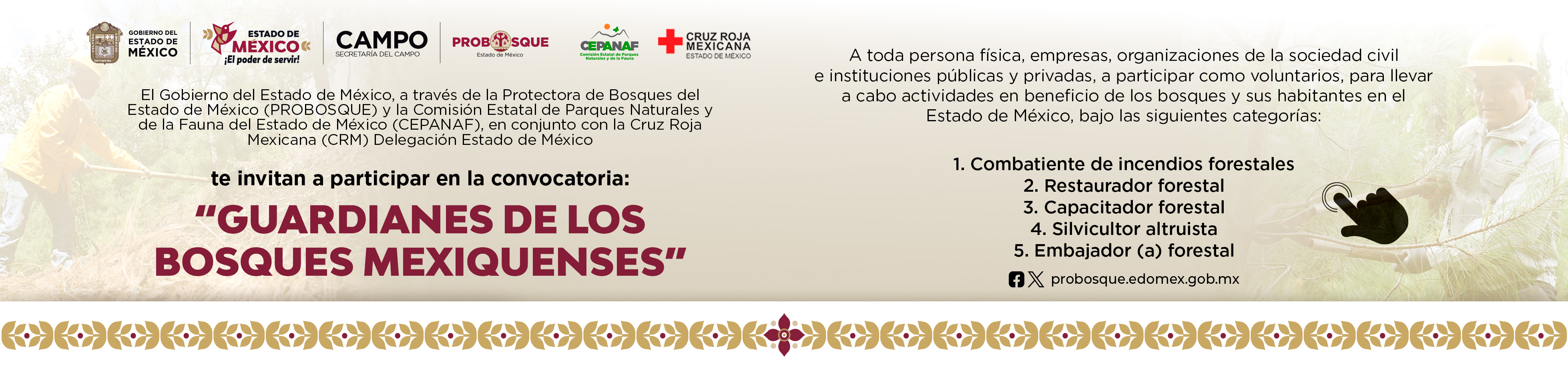 Revisa la convocatoria para Guardianes de los Bosques Mexiquenses