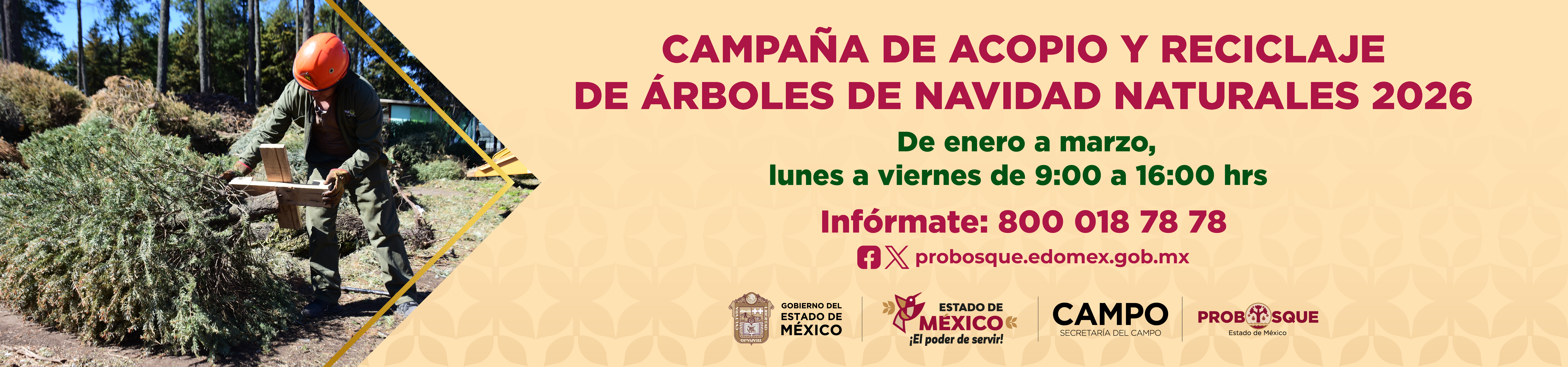 Ubicaciones de los Centros de Acopio de árboles de Navidad