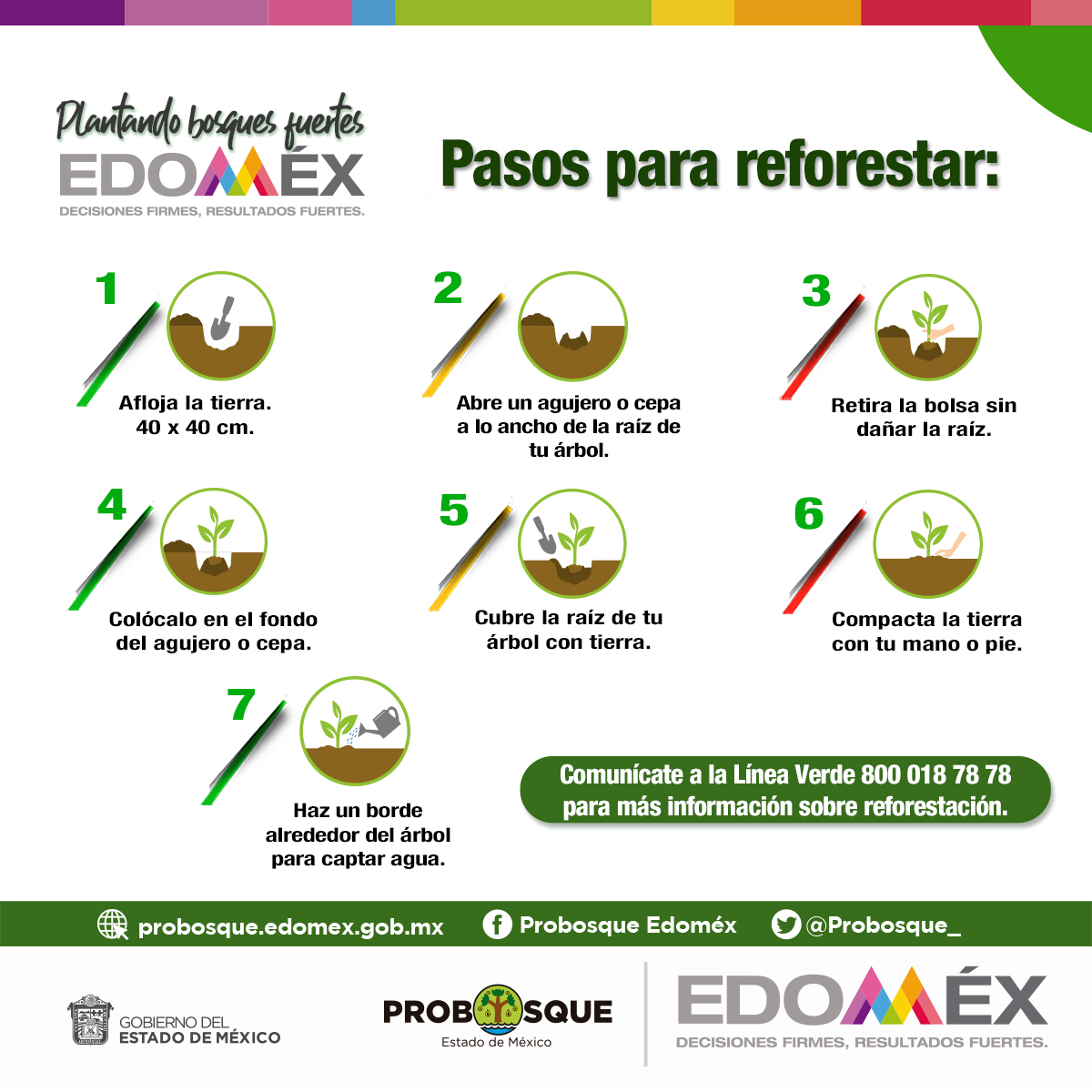 Campaña Estatal de Reforestación | Probosque