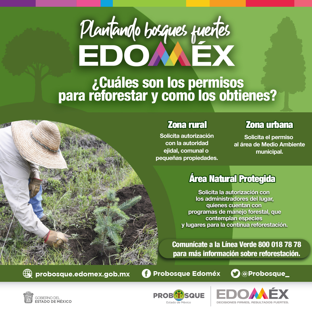 Campaña Estatal de Reforestación | Probosque