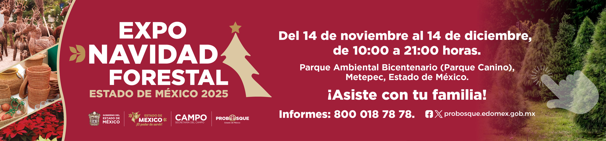 Invitación a la exposición de árboles de Navidad 2025