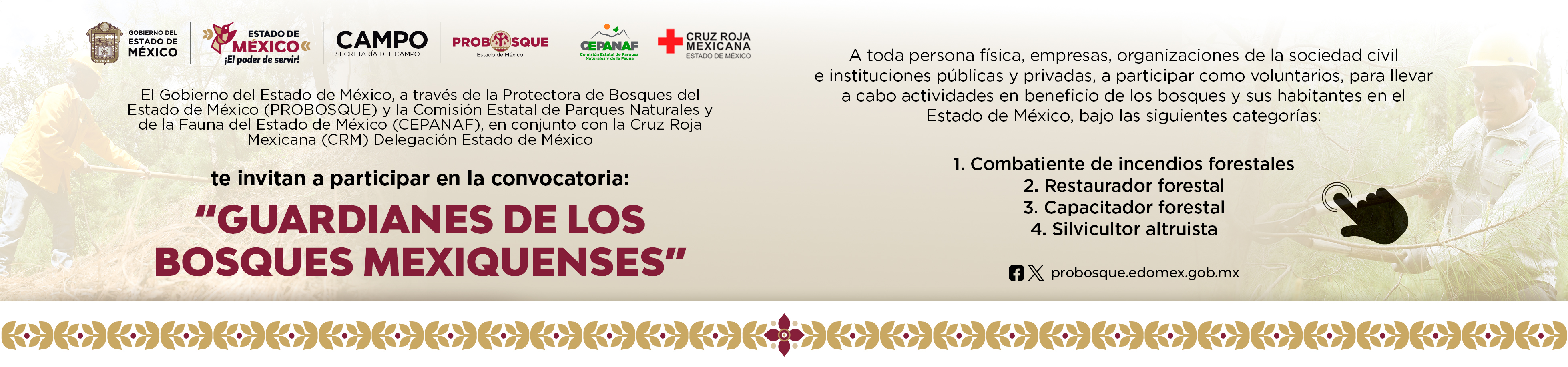 Convocatoria Guardianes de los Bosques Mexiquenses